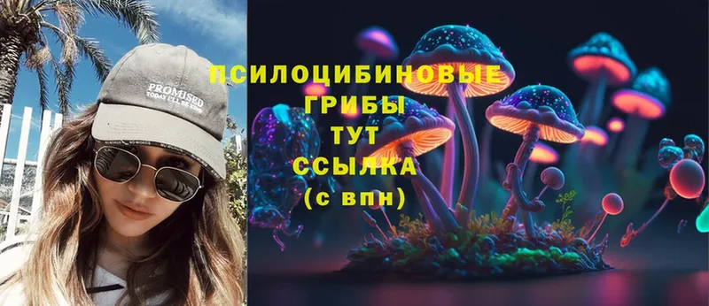 наркотики  Кстово  Галлюциногенные грибы MAGIC MUSHROOMS 